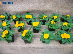 День подталкивает к активным шагам: гороскоп на 1 марта