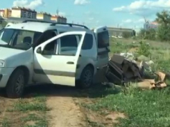 «Вот такая я свинья!»: волжанин показал на видео, как рядом с лесом водитель устроил свалку