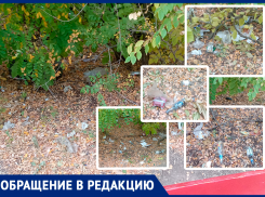 Неприятный запах и «харчки»: волжанин жалуется на состояние аллеи по Логинова