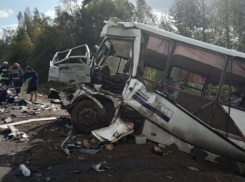 Семь человек погибли в ДТП с рейсовым автобусом