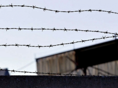 Волгоградца отправили на два года за решетку из-за неоплаченного штрафа