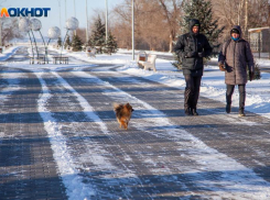 Четверг в Волжском будет солнечным: прогноз погоды