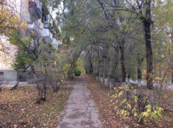 Туман и мерзкий холод опустится на Волжский в день без бумаги