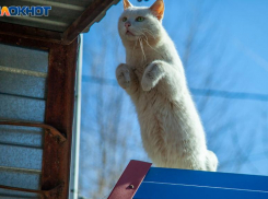 В день военного юриста будет то облачно, то солнечно