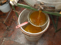 Топ советов от «Блокнота Волжского» - выбираем правильный мед