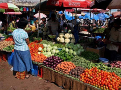 Волжан удивили цены на помидоры