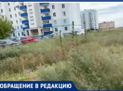 «Превратили микрорайон в джунгли», - волжанин рассказал о проблеме