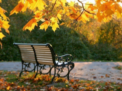 В Волгоградской области всю неделю будет держаться плюсовая температура 