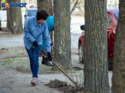 В Волжский пришла весна: прогноз погоды на среду