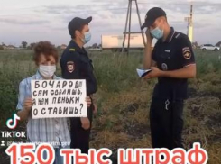 Суд не отменил штраф в 150 тысяч рублей для пикетчицы-инвалида за Волго-Ахтубинскую пойму