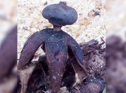 Редкий в мире гриб обнаружен в Волгоградской области