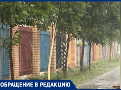 Вандалы орудуют в Волжском: содрали кору с дерева и скрылись