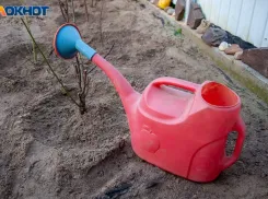 В Волжском поселке совершат пробный запуск поливочного водопровода