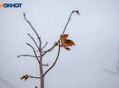 В Волжском аномально потеплеет: прогноз погоды на неделю