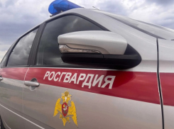 В Волжском росгвардейцы пресекли два хищения в торговой сети