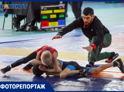 Радость победы и ценные подарки: в Волжском прошло открытое первенство по вольной борьбе