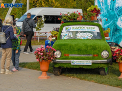 В Волжском пройдет акция ГИБДД, посвященная 8 Марта