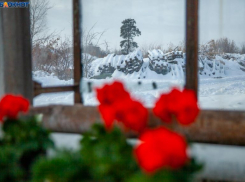 В Волжском на 8 марта выпадет снег: прогноз погоды