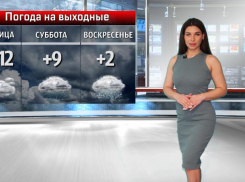 Дожди обрушатся на Волжский в воскресенье: погода на выходные от Инны Майер