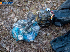 Лишь 7% волжан считают, что свалка на берегу Ахтубы законна