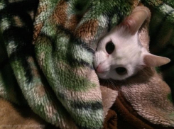 Ливень, туман и холод пообещали волжанам в литературный праздник