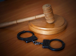 50-летний волгоградец пытался скормить убитого друга собакам