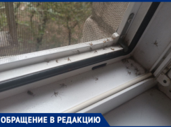 В комариное логово превратились квартиры МКД в Волжском из-за потопа в подвале