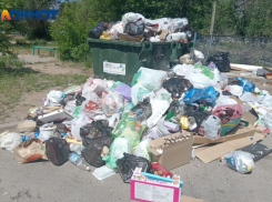 «Скоро здесь заведутся крысы»: неделю не вывозят мусор из Волжского двора: фото