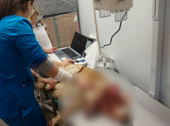 Охотник за собаками найден: волжанин устроил расстрел в СНТ и вынес приговор сам себе