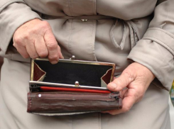 Две тысячи долларов похитили мошенники у волжан