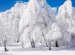 В первый день зимы волжанам пообещали замерзающий туман