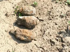 Четыре гранаты времен ВОВ обнаружили на дороге в Волгограде