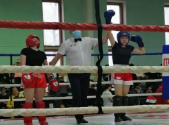 В Волжском состоялся фестиваль кикбоксинга