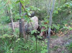 Под Волгоградом в лесу собаковод нашел мумию пенсионера
