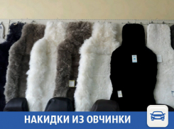Накидками из овчины предложили обогреть попы водителям в Волжском 