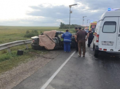 Два ребенка без детских кресел погибли в ДТП в Волгоградской области