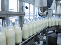 В Волжском выставили на продажу молочный завод 