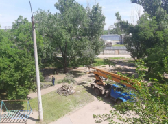 Сухостои и траву убрали после публикации в «Блокноте Волжского»