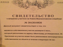 Место на кладбище друзья подарили волжанке на день Рождения