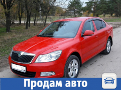 В Волжском ищут хозяина для алой красавицы Skoda Octavia
