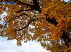 Небольшой дождь и туман обещают синоптики в воскресенье в Волжском