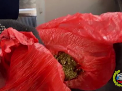 Наркокурьер на маршрутке: в Волгоградской области пассажира выдала служебная собака