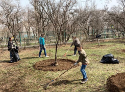 Волжане приступили к благоустройству территорий в рамках ежегодного месячника
