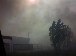 Пустырь вдоль автодороги вспыхнул в Средней Ахтубе