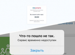 Госуслуги не справились с желающими вакцинироваться: жители Волжского «стоят» в огромных очередях