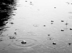 Туман, дождь и ветер: второй месяц весны в Волжском не сдается