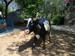 В парке «Гидростроитель» появилась новая жительница