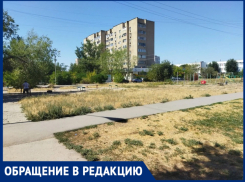 «Территория мечты, которую не замечают»: волжанка просит обустроить пустырь в 23 м микрорайоне Волжского»