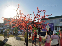 Обновленная Каштановая аллея открылась в Камышине 