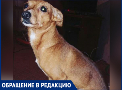 «Мальчик кричал от увиденного», - волжанка